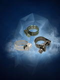 Hose Clamps