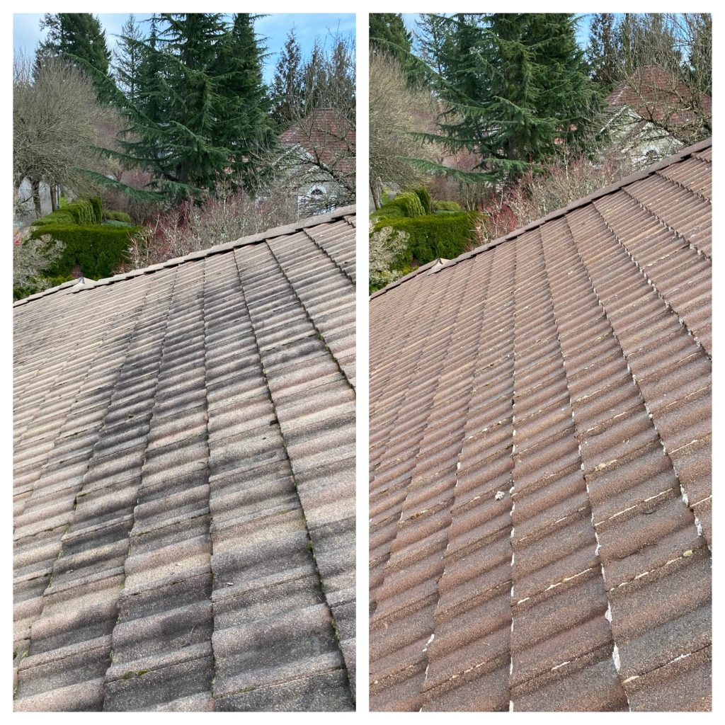 Roof Cleaning in Portland OR, Roof Cleaning in Milwaukie OR, Roof Cleaning in Gladstone OR, Roof Cleaning in Happy Valley OR, Roof Cleaning in Lake Oswego OR, Roof Cleaning in West Linn OR, Roof Cleaning in Oregon City OR, Roof Cleaning in Canby OR, Roof Cleaning in Clackamas OR, Roof Cleaning in Oak Grove OR, Roof Cleaning in Damascus OR, Roof Cleaning in Molalla OR, Roof Cleaning in Sherwood OR, Roof Cleaning in Tigard OR, Roof Cleaning in Wilsonville OR, Roof Cleaning in Tualatin OR, Roof Cleaning in Boring OR, Roof Cleaning in Aurora OR, Roof Cleaning in Troutdale OR, Roof Cleaning in Sandy OR, Roof Cleaning in Estacada OR, Roof Cleaning in Gresham OR, Roof Cleaning in Johnson City OR, Roof Cleaning in Mulino OR, Roof Cleaning in Durham OR, Roof Cleaning in Beaverton OR, Roof Cleaning in Hubbard OR, Roof Cleaning in Colton OR, Roof Cleaning in Newberg OR,